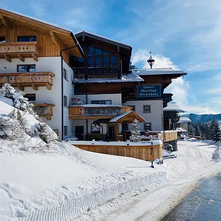 Gruenholz Mühlbach am Hochkönig