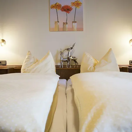 Apartmanhotel Gruenholz Mühlbach am Hochkönig