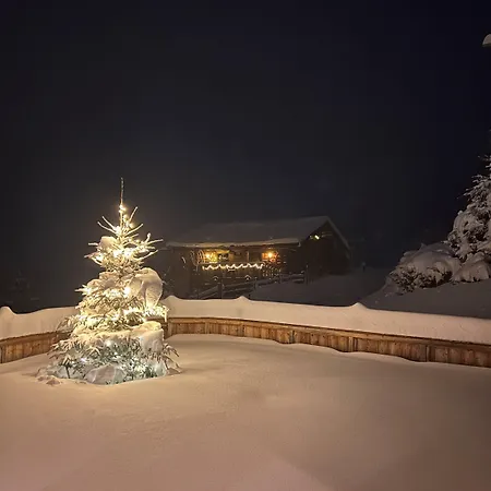 Apart Otel Gruenholz Mühlbach am Hochkönig