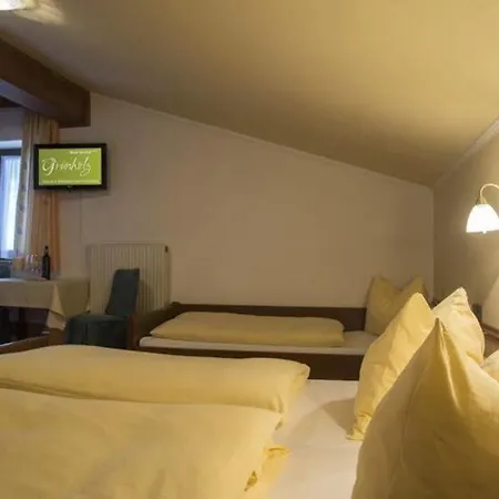 Apartahotel Grünholz 4*